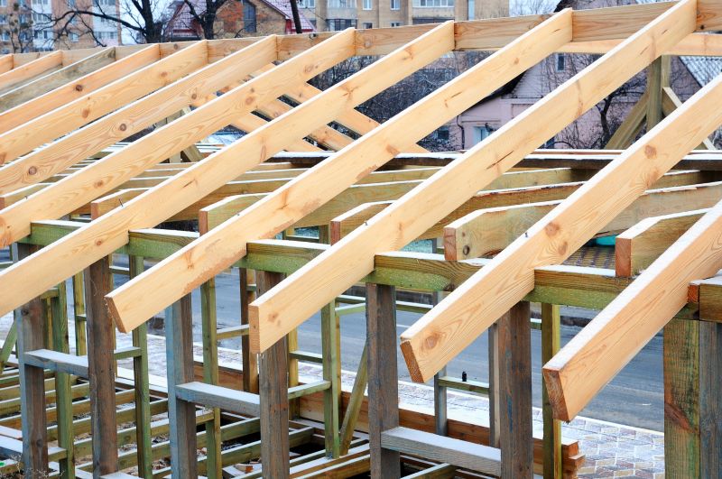 Roof Sheathing Service in Conroe, TX